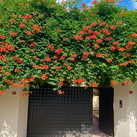 Hostel Nature Gate Airport Arnavutkoy