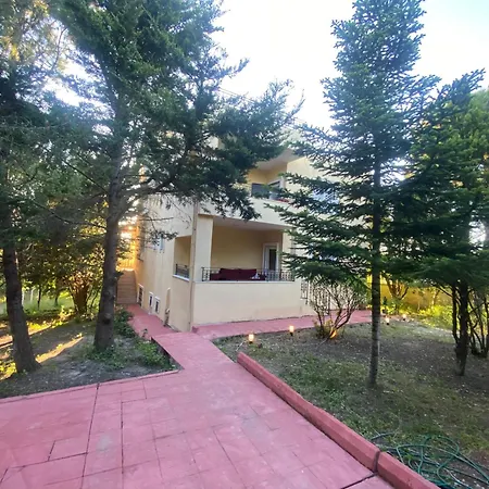 Nature Gate Airport